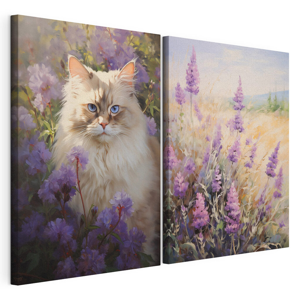 Gato entre lavanda — vista do produto