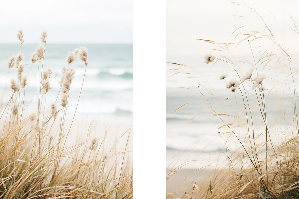 Gramíneas junto ao mar — design completo