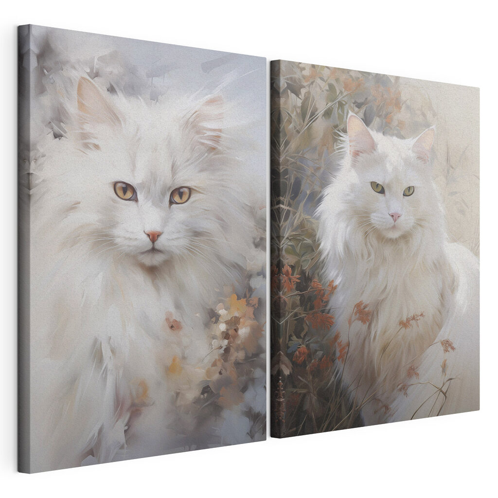 Gato branco, tela esticada e borda contínua
