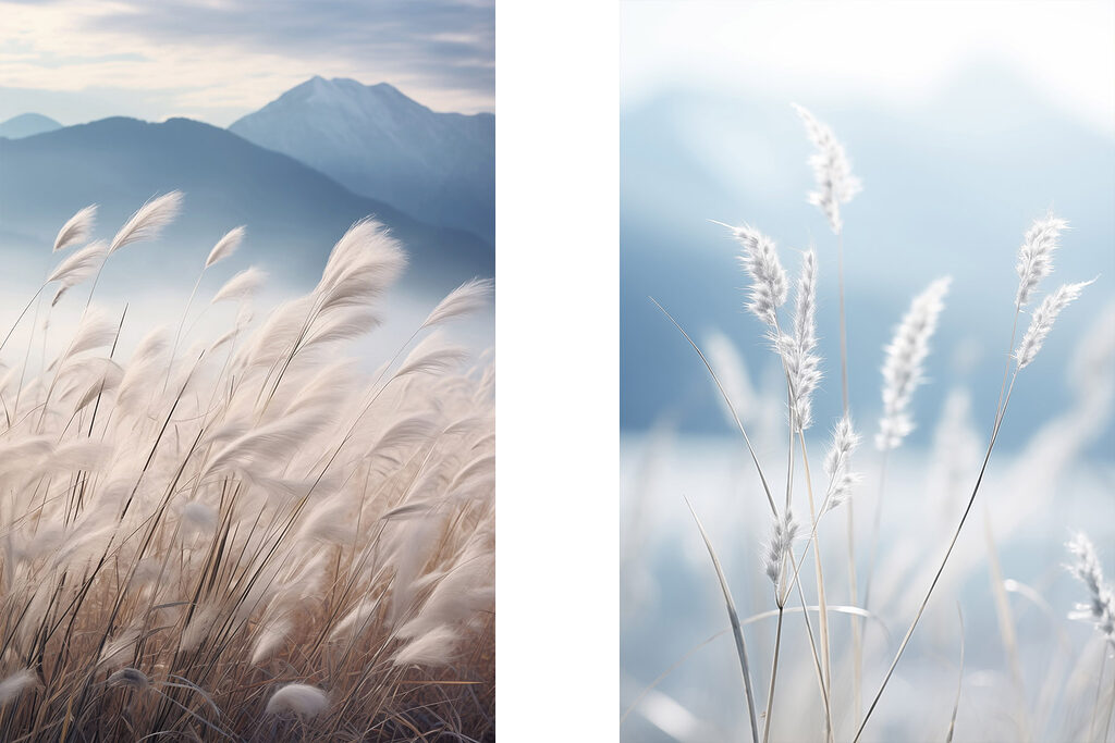 Prados e montanhas — design completo