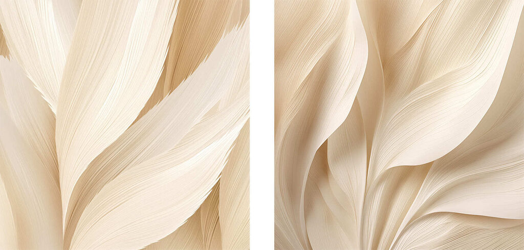 Curvas delicadas — design completo