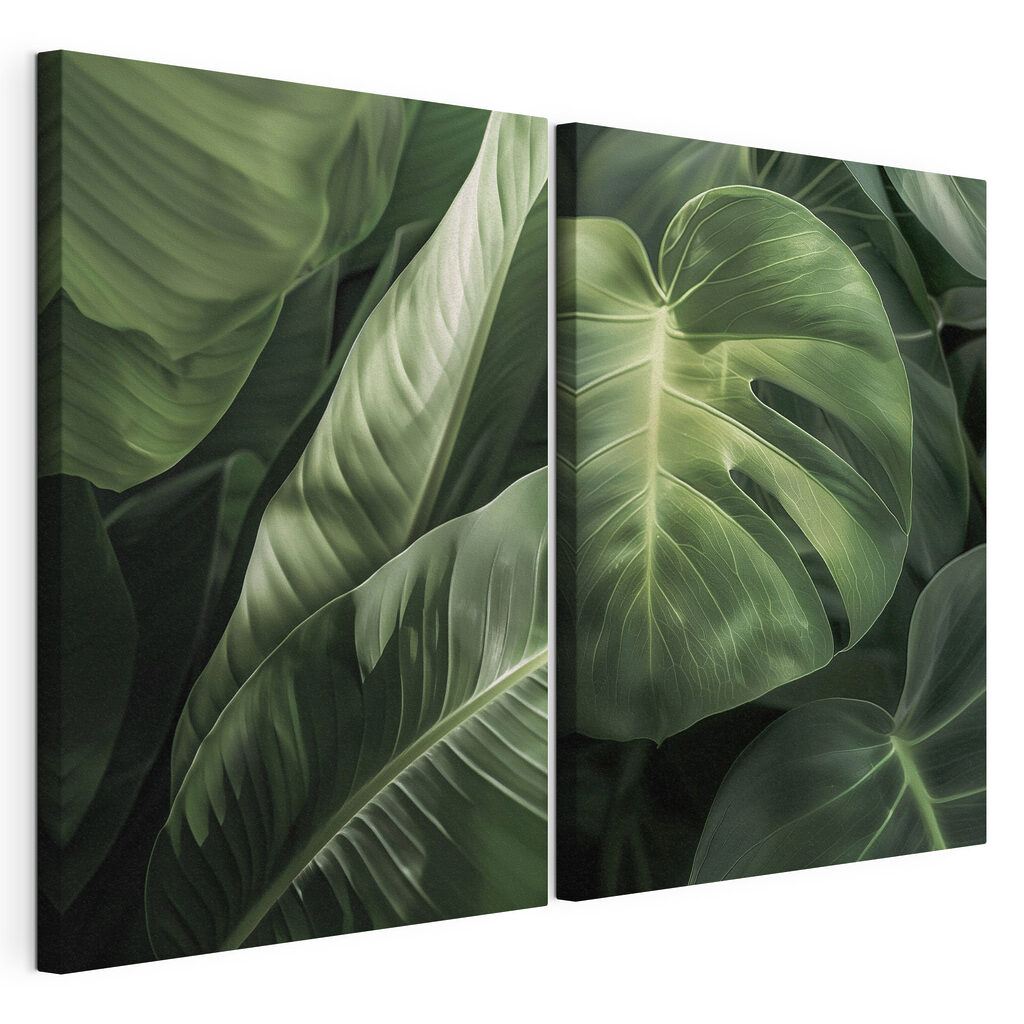 Sob o dossel tropical, tela esticada e borda contínua