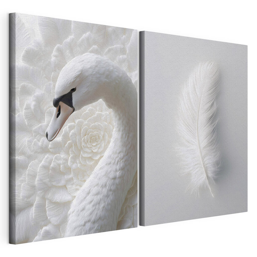 Pena branca e cisne — vista do produto