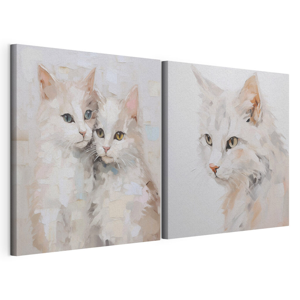 Dois gatos — vista do produto