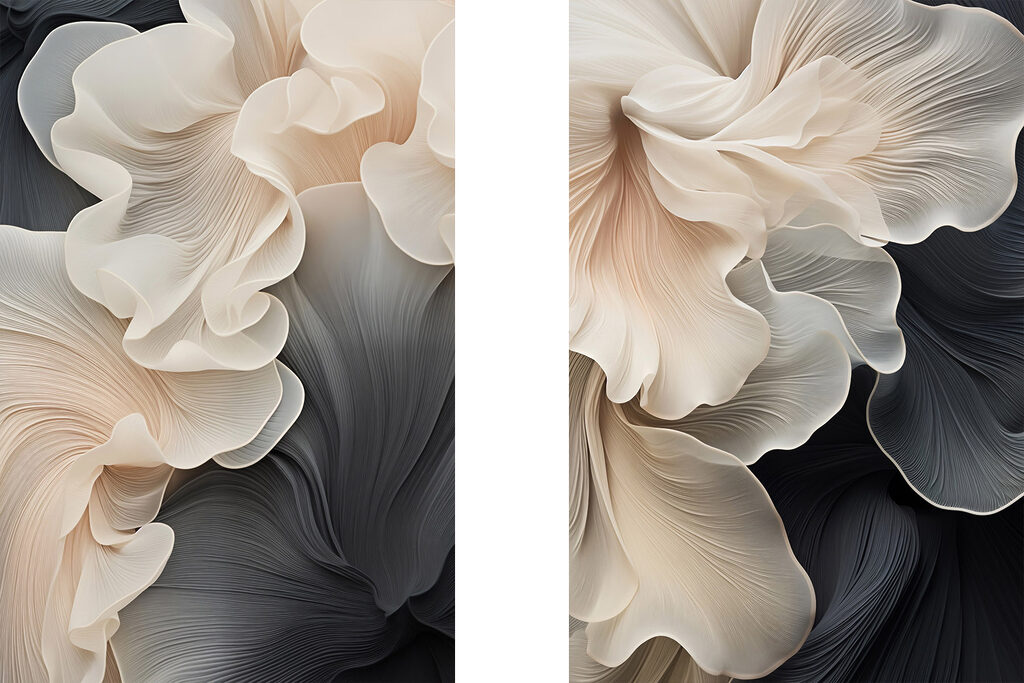 Dobras claras sobre preto — design completo