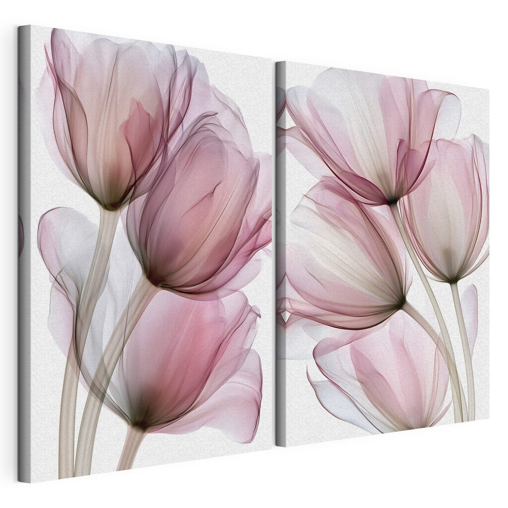 Tulipas em rosa translúcido, tela esticada e borda contínua