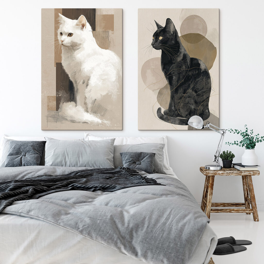 Gato branco e preto — interior 1