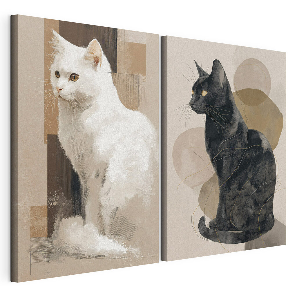 Gato branco e preto, tela esticada e borda contínua