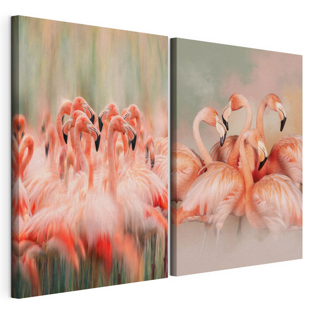 Grupo de flamingos juntos, tela esticada e borda contínua