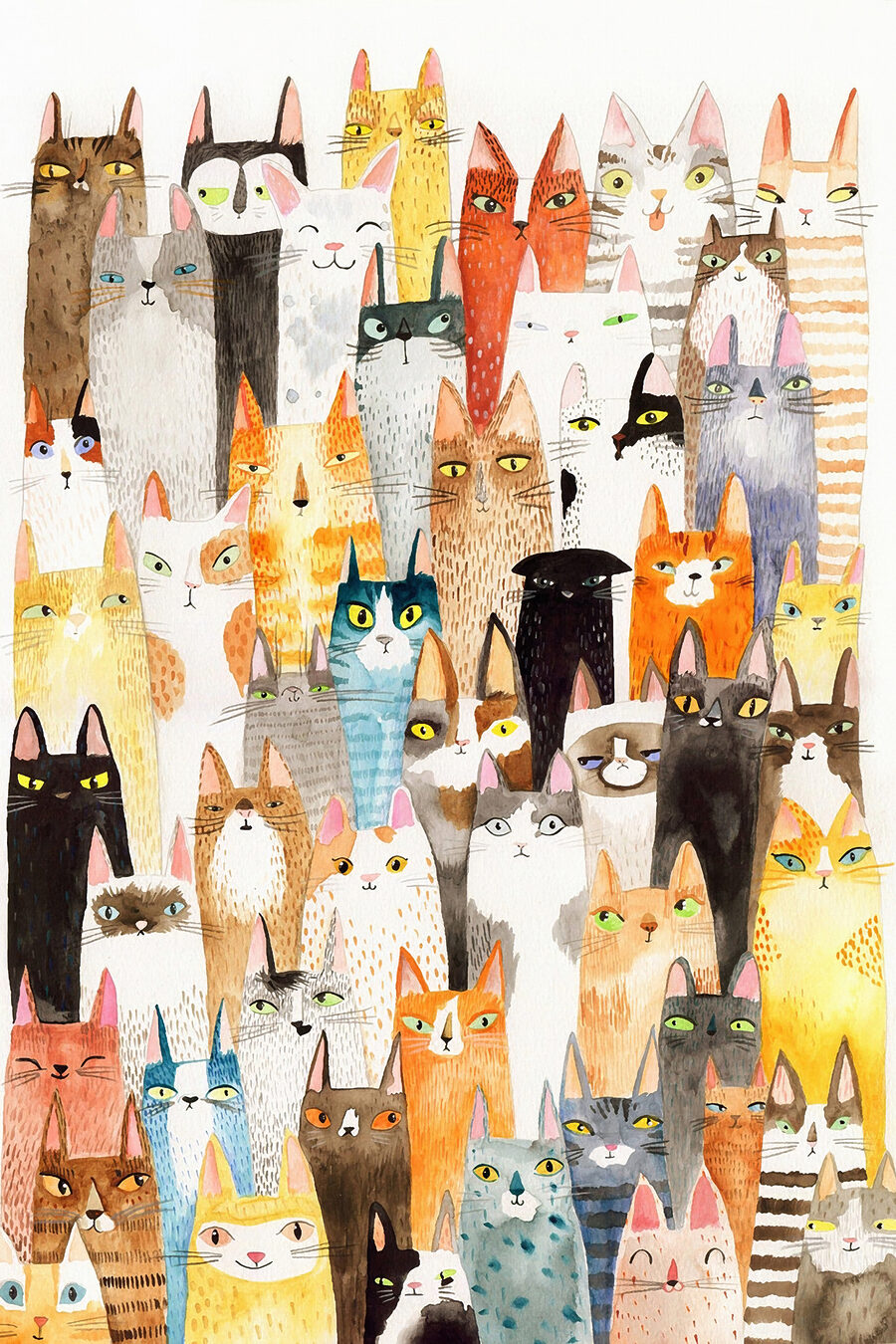 Um mundo de gatos — design completo