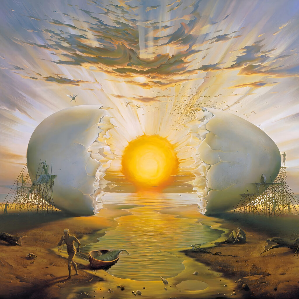 Sol entre cascas — design completo