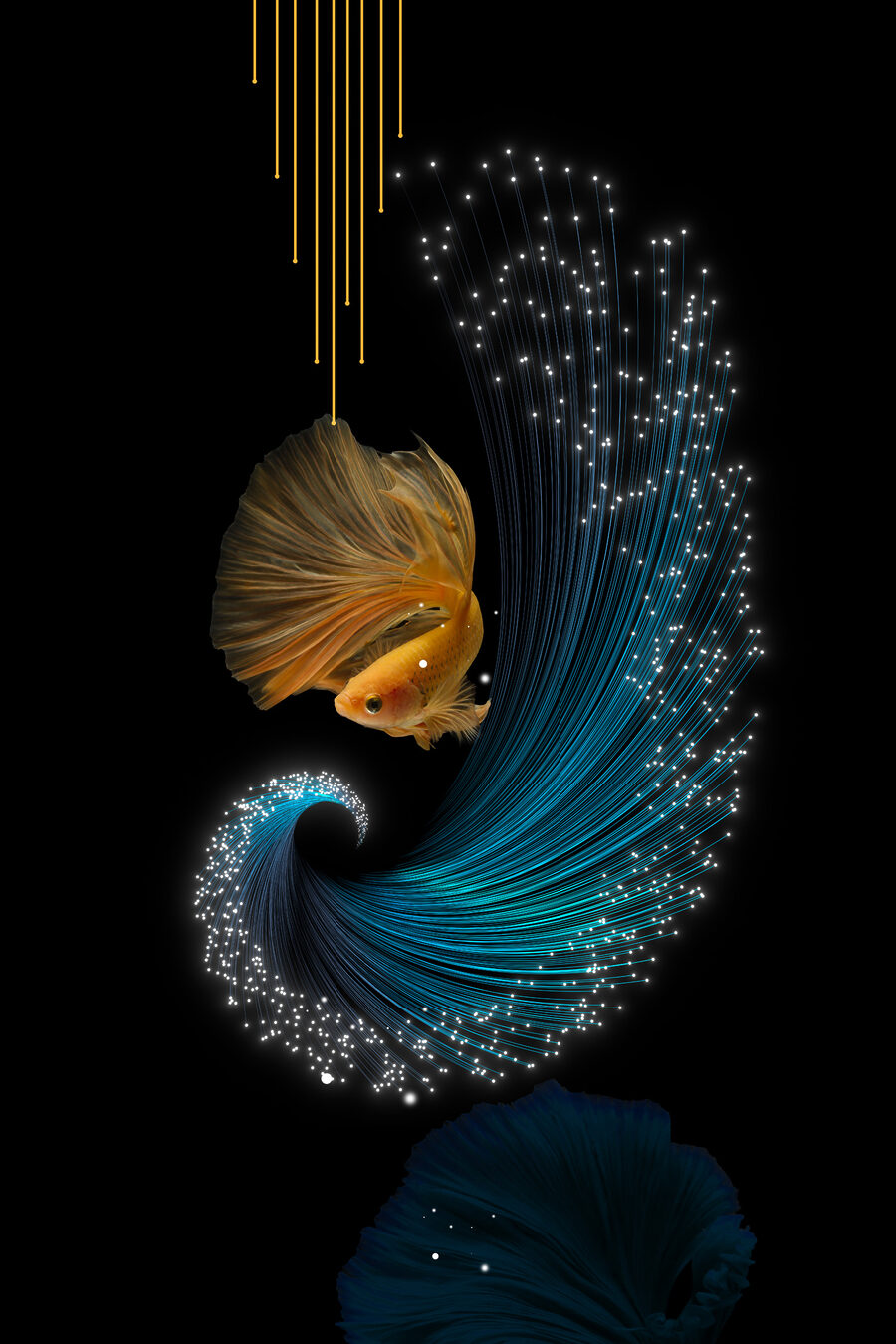 Peixe cheio de estrelas — design completo