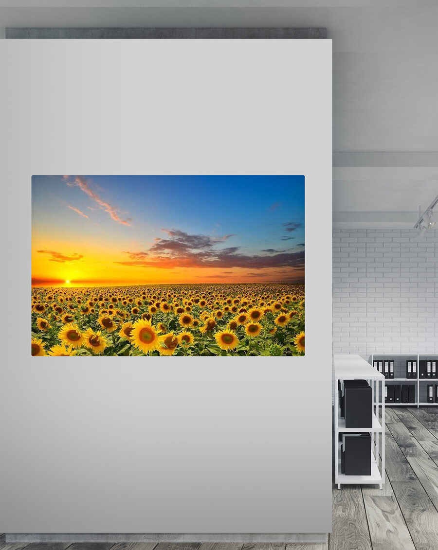 Girassóis ao entardecer — interior 2