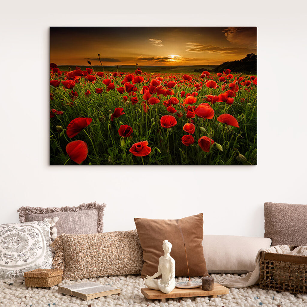 Papoilas ao entardecer — interior 3