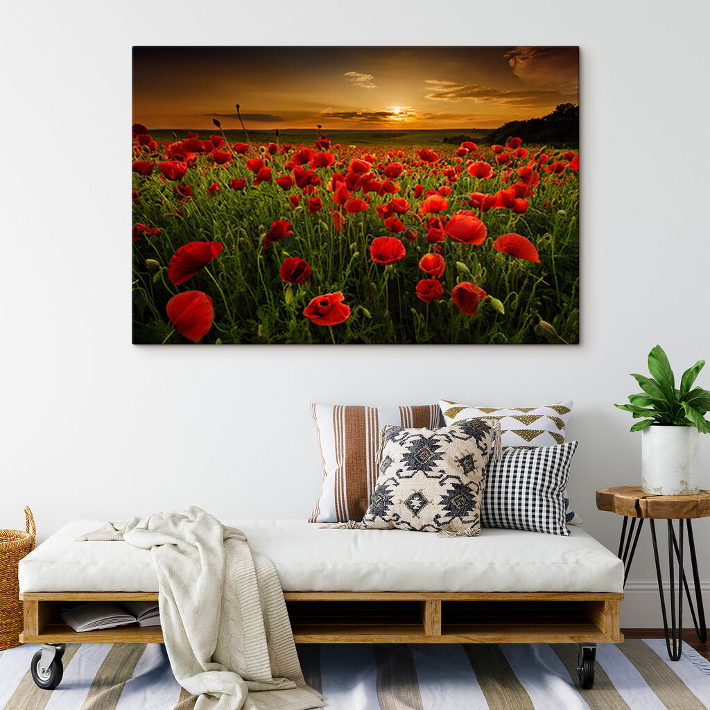 Papoilas ao entardecer — interior 4
