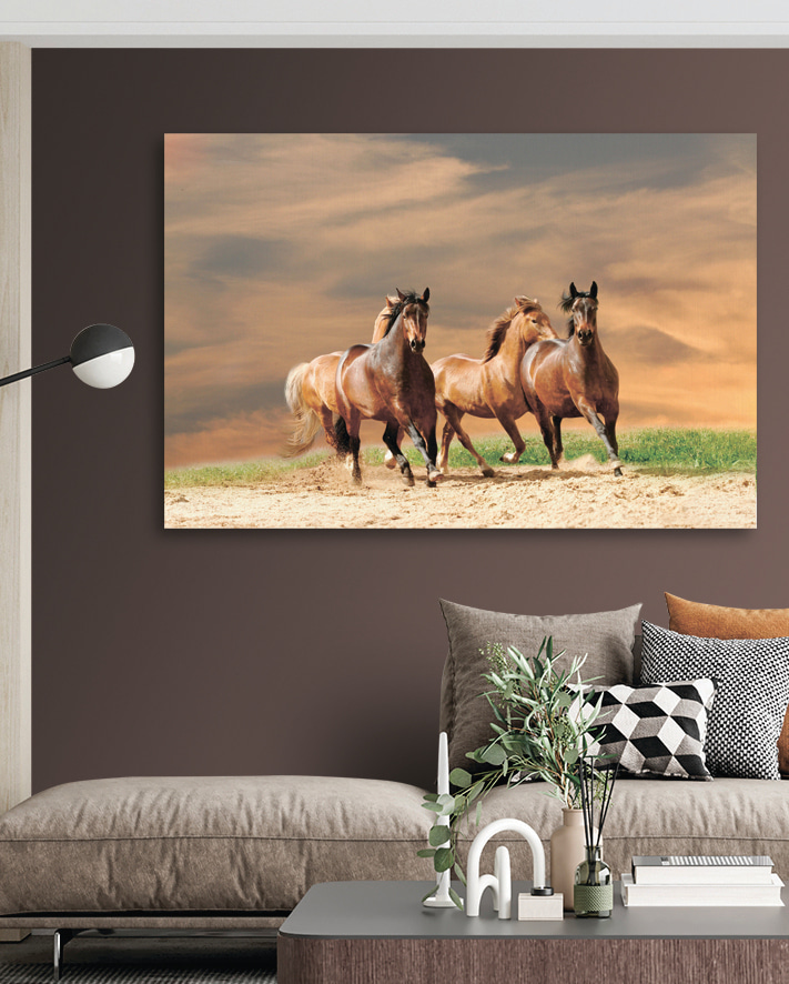 Cavalos ao vento num interior