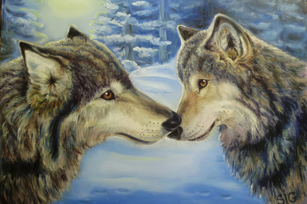 Lobos quase a tocar-se — design completo