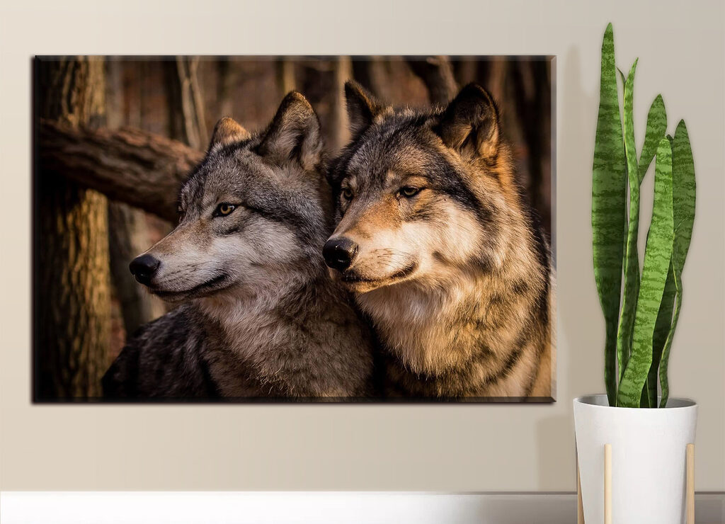 Lobos no bosque — interior 1