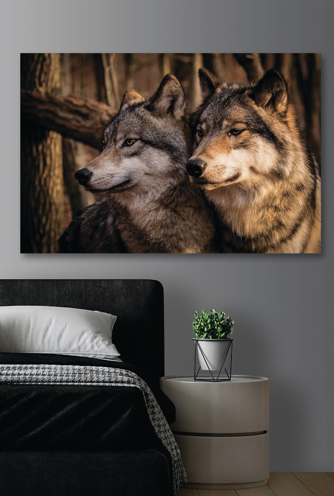 Lobos no bosque — interior 2