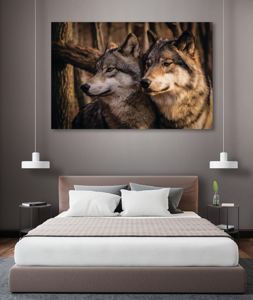 Lobos no bosque — interior 3