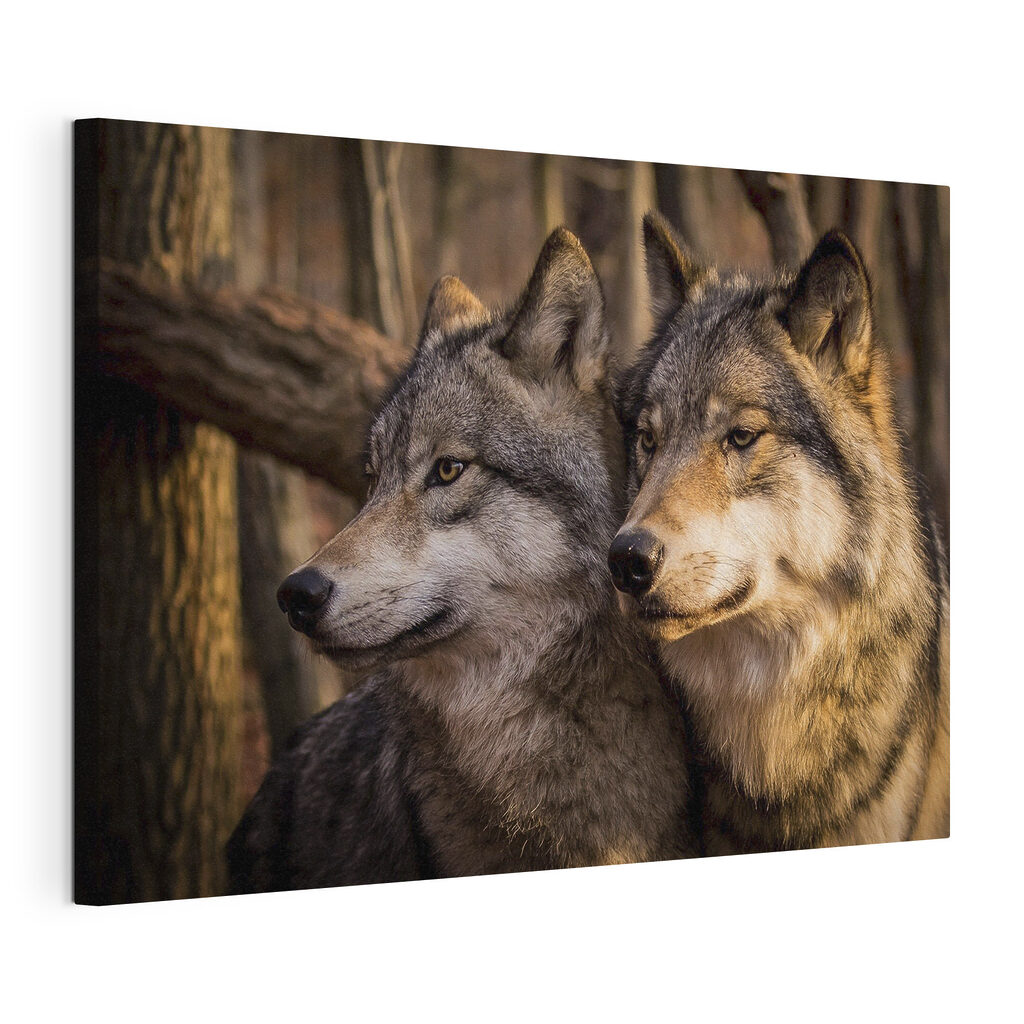 Lobos no bosque, tela esticada e borda contínua