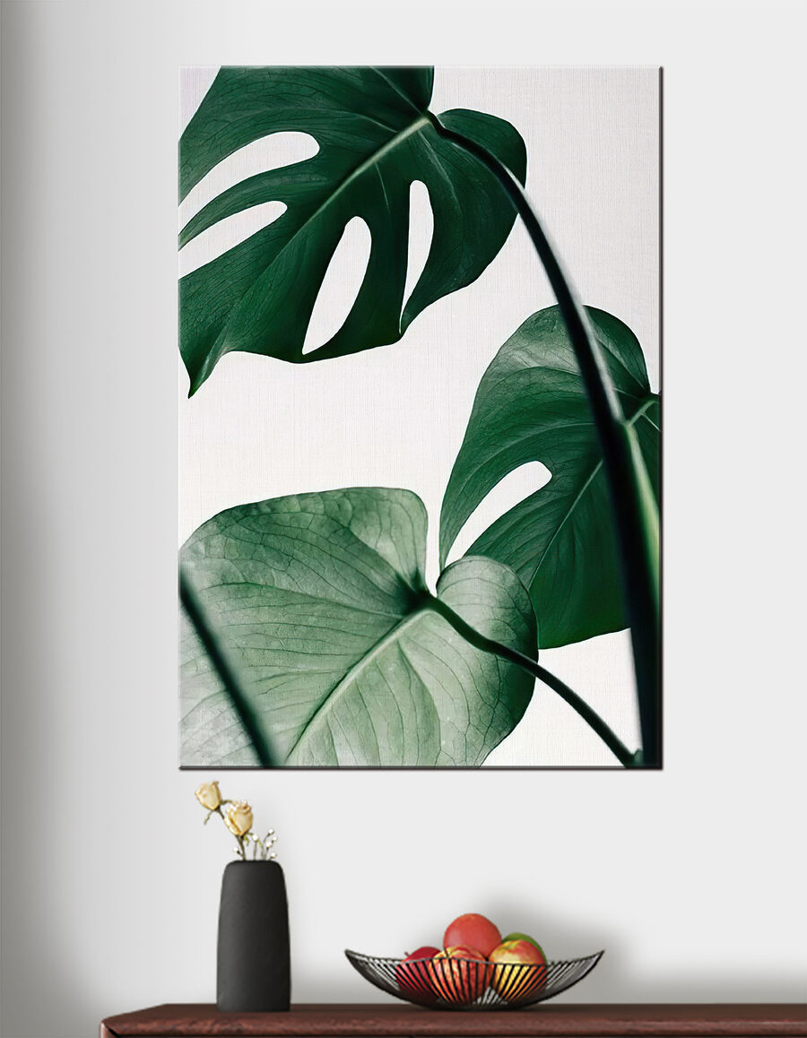 Monstera em fundo claro — interior 2