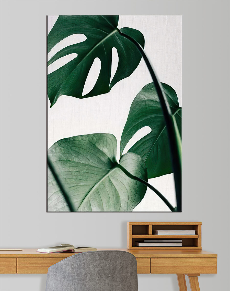 Monstera em fundo claro — interior 1