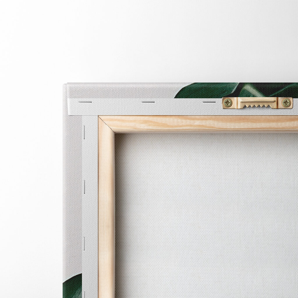 Monstera em fundo claro — verso