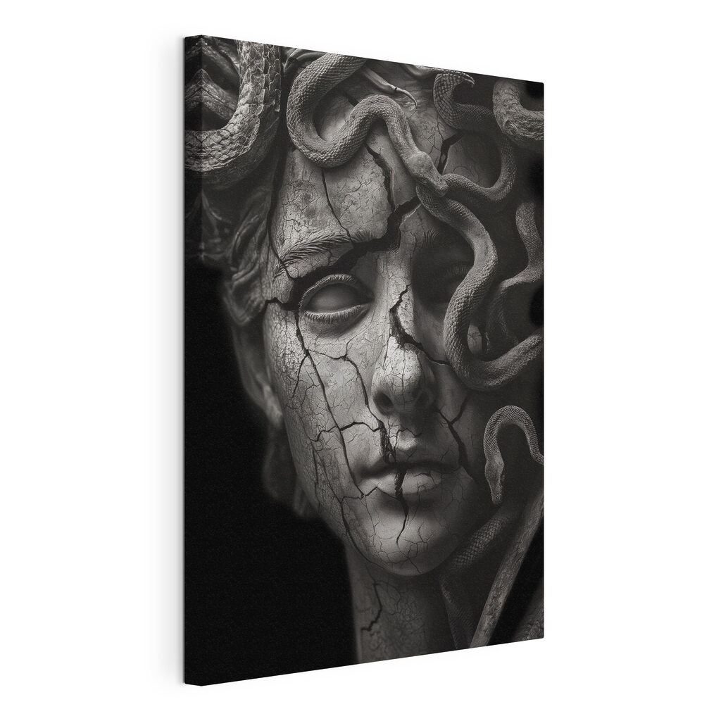 Medusa na sombra — vista do produto