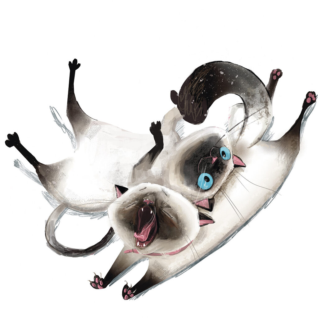 Dois gatos a brincar — design completo