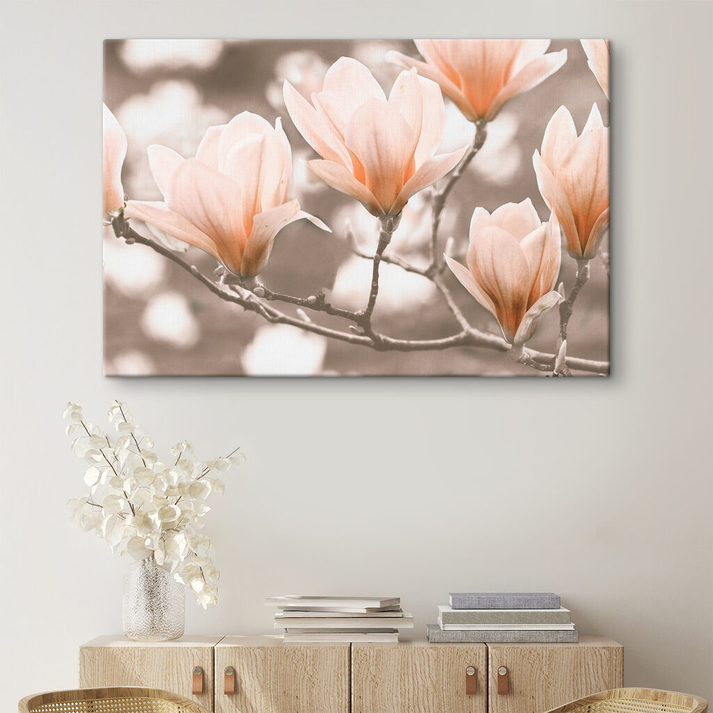 Ramos suaves em flor — interior 2