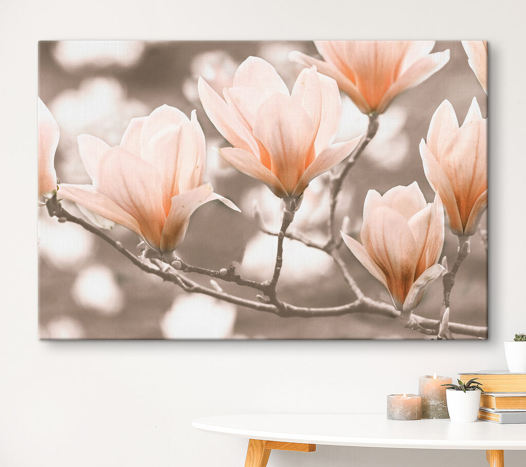 Ramos suaves em flor — interior 3