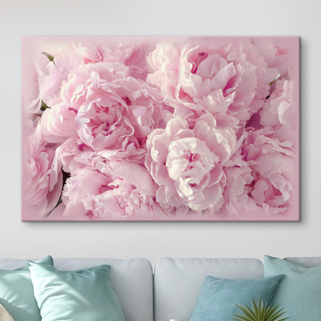 Peónias cor-de-rosa de perto — interior 2