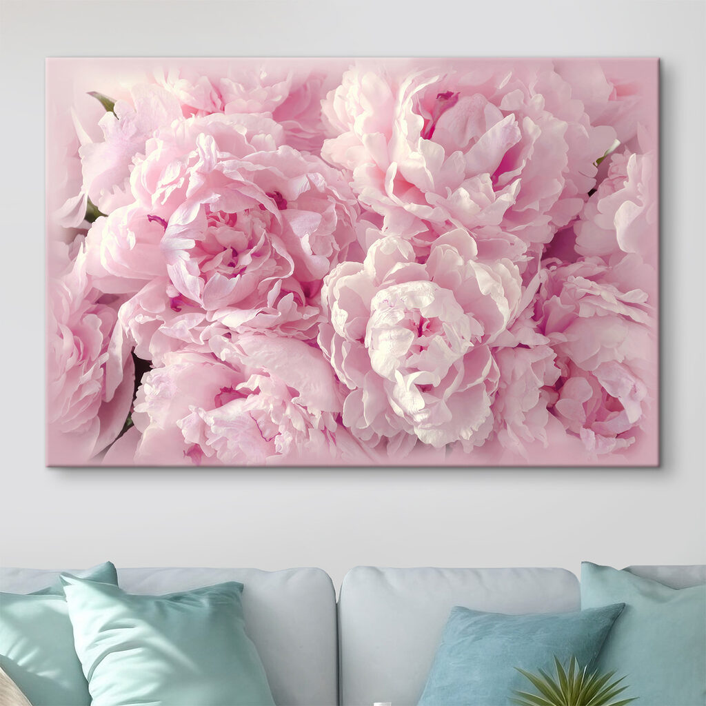 Peónias cor-de-rosa de perto — interior 5
