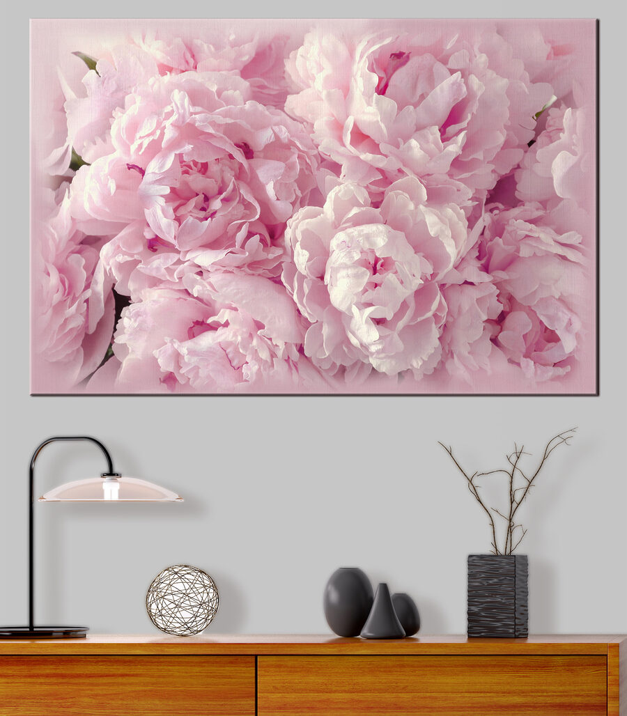 Peónias cor-de-rosa de perto — interior 3