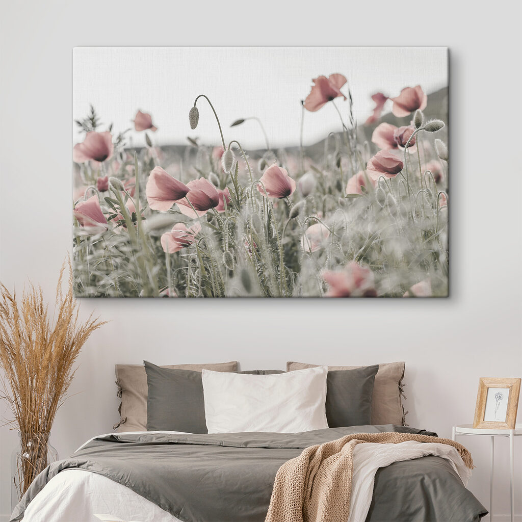 Papoilas em rosa sereno — interior 2