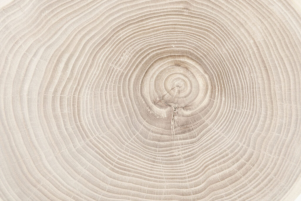 Anéis de crescimento — design completo
