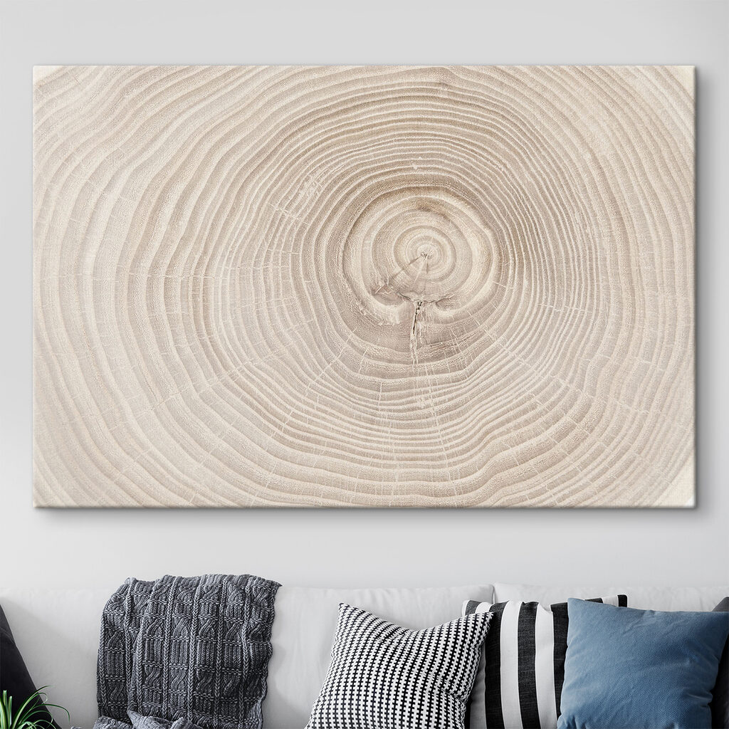 Anéis de crescimento — interior 2