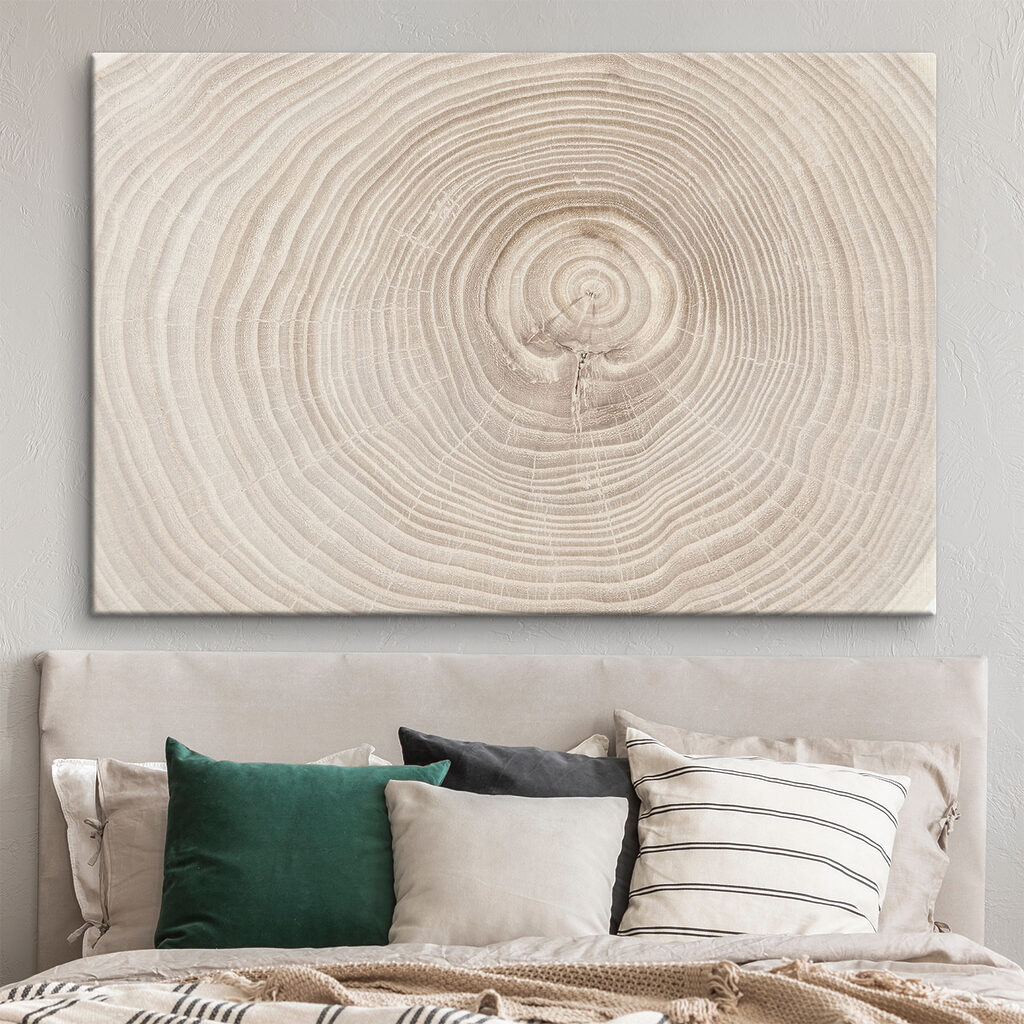 Anéis de crescimento — interior 1