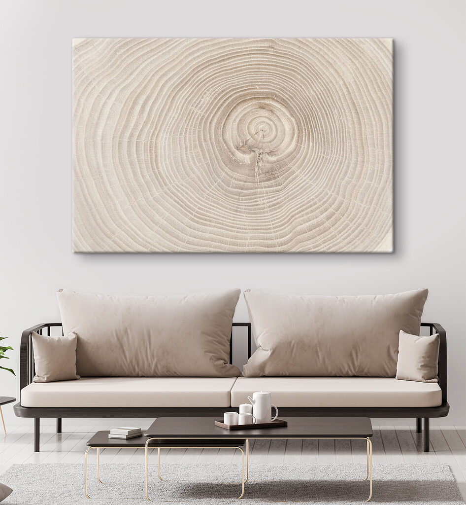Anéis de crescimento — interior 3