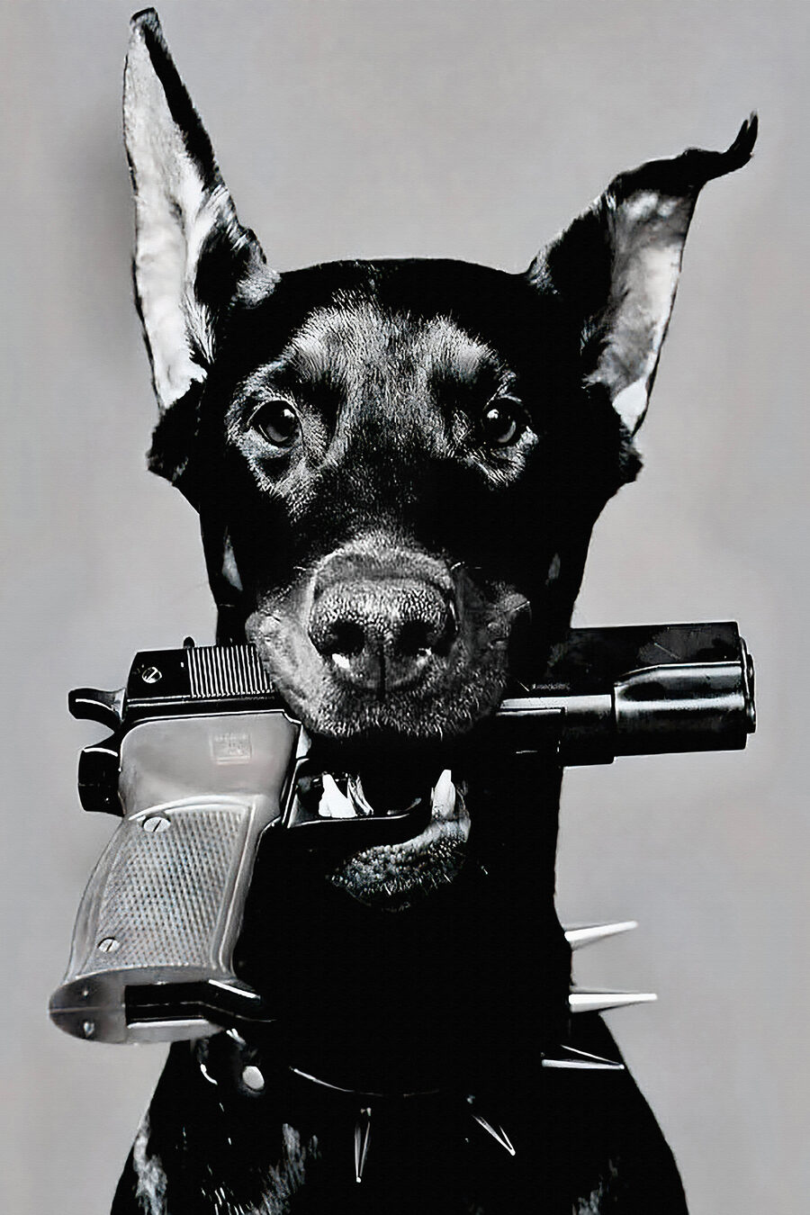 Cão com pistola — design completo