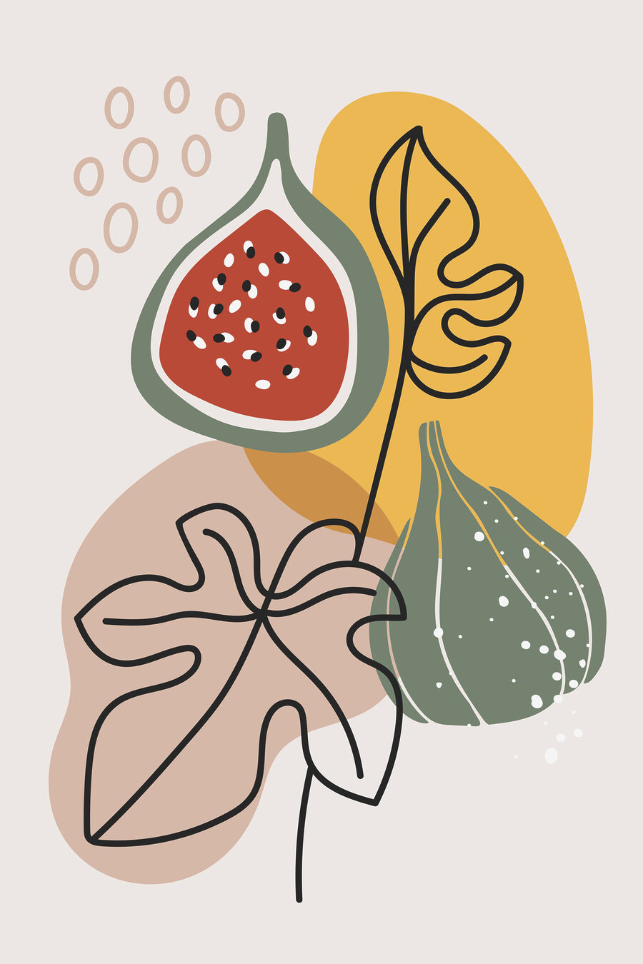 Figo entre linhas — design completo