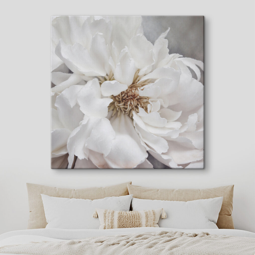 Peónia em branco-creme — interior 2