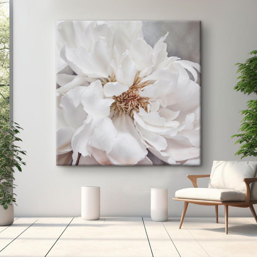 Peónia em branco-creme — interior 1