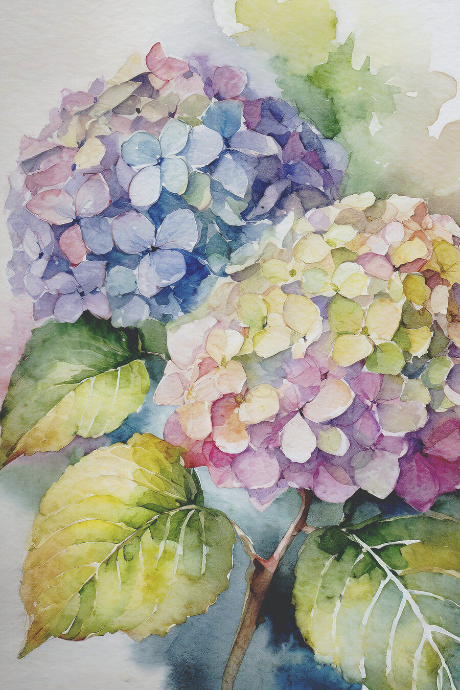 Hortênsias em aguarela leve — design completo