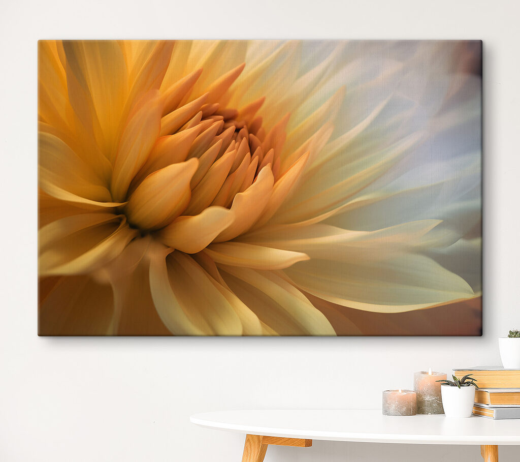Flor de centro amarelo — interior 3