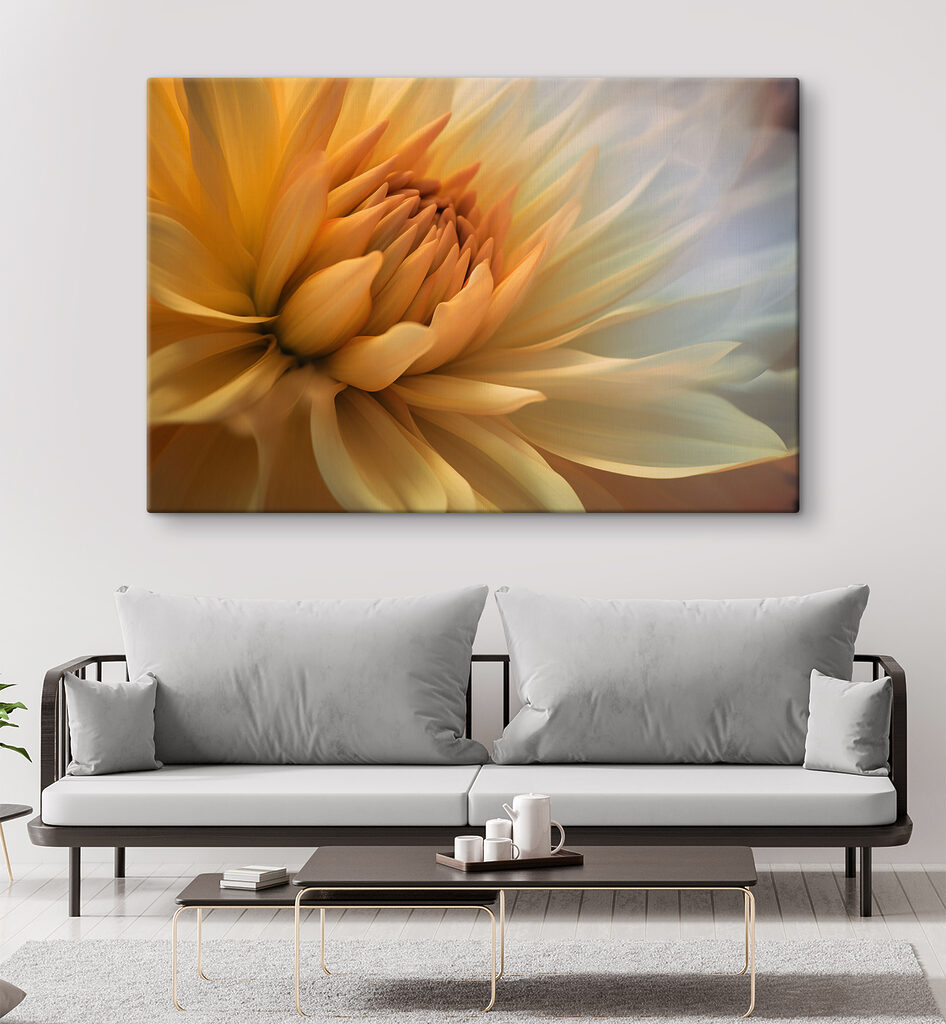 Flor de centro amarelo — interior 1