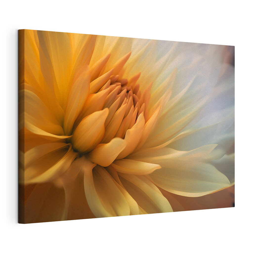 Flor de centro amarelo, tela esticada e borda contínua