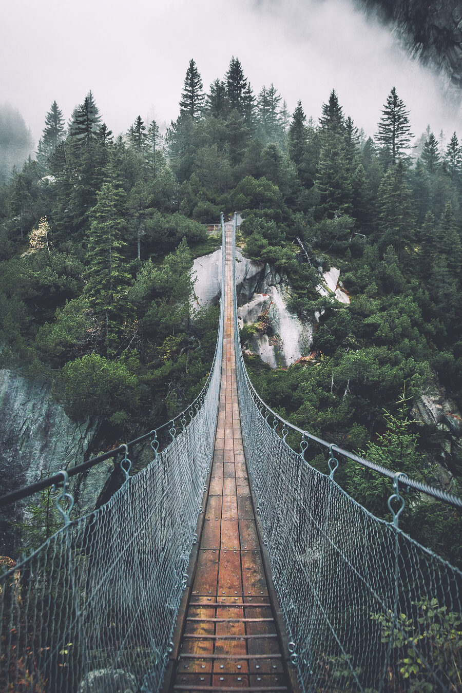 Ponte para a floresta — design completo