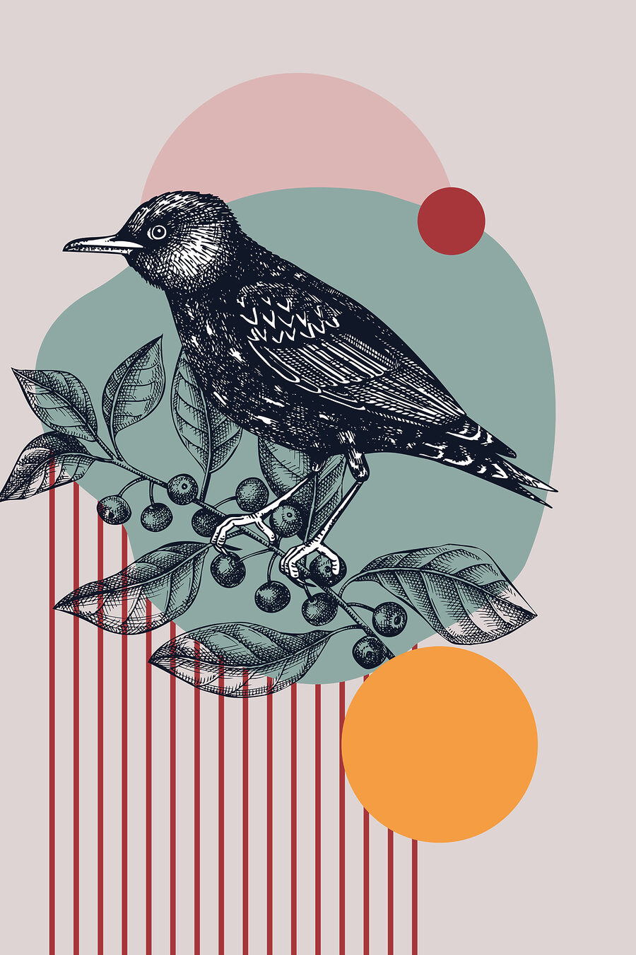 Ave preta entre círculos — design completo